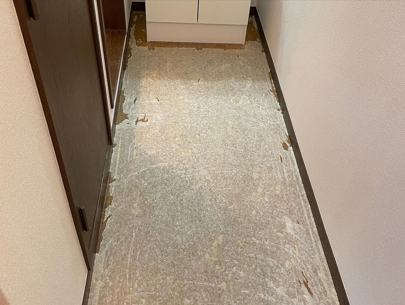 画像1533