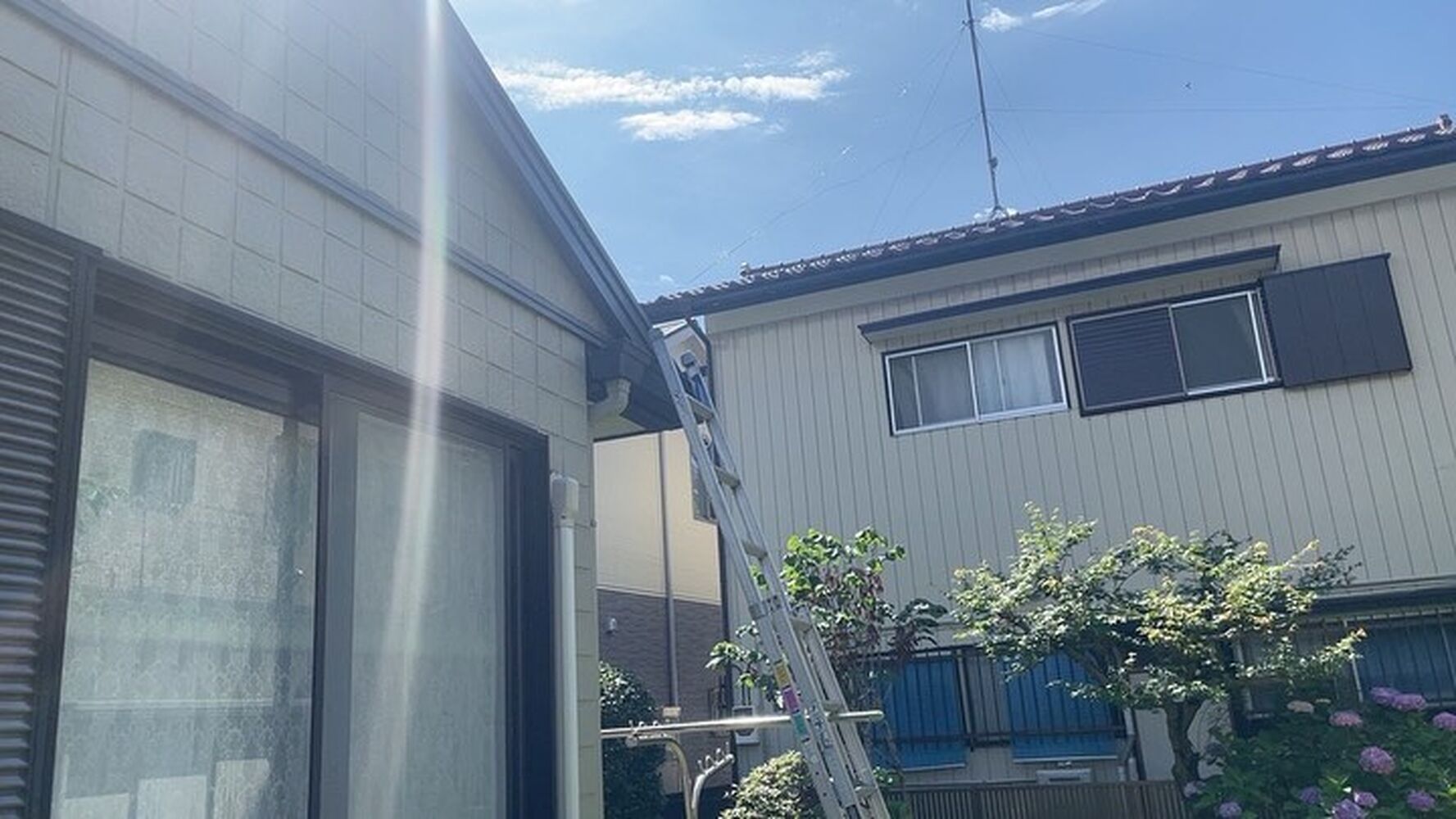 画像1623