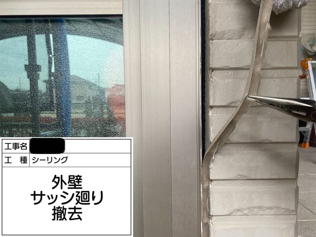 画像2074